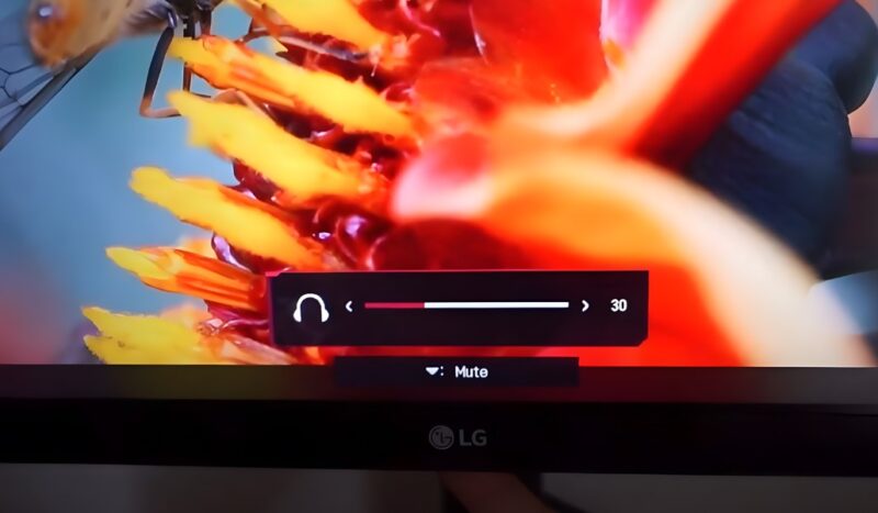LG Monitor No Sound OSD Menu Fix